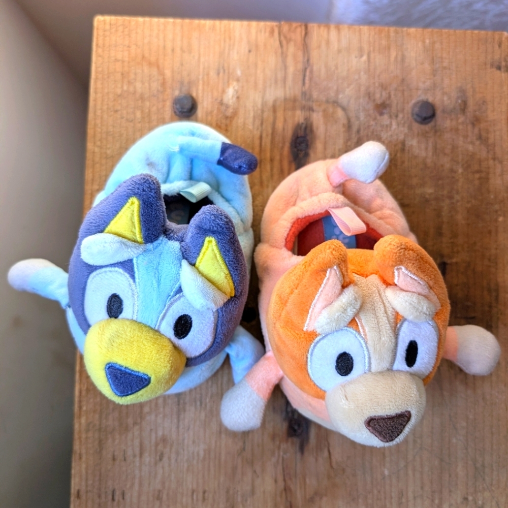 Bluey And Bingo Child's 5/6 Pre-loved Slippers